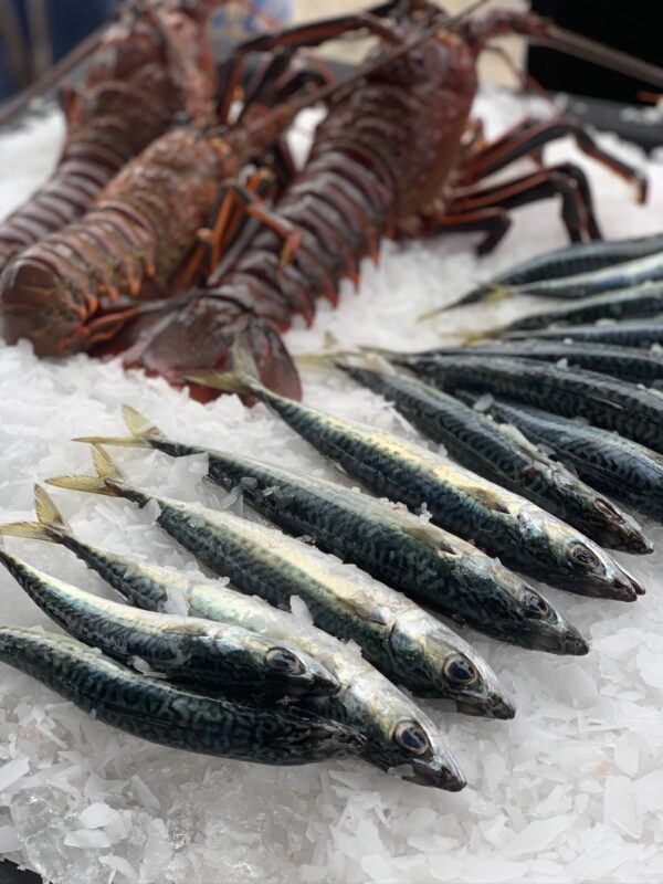 The #1 Question Chefs Ask: Can I Buy Fish Directly from a Fisherman?