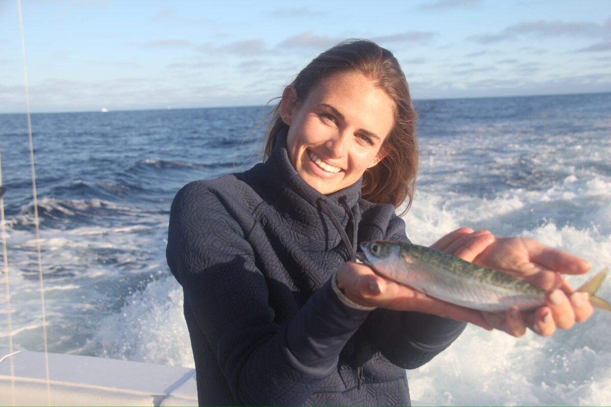 How to Submit In-person Public Comment: