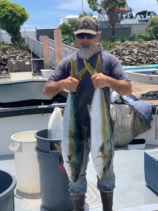 California Commercial Landing Resource Breakdown