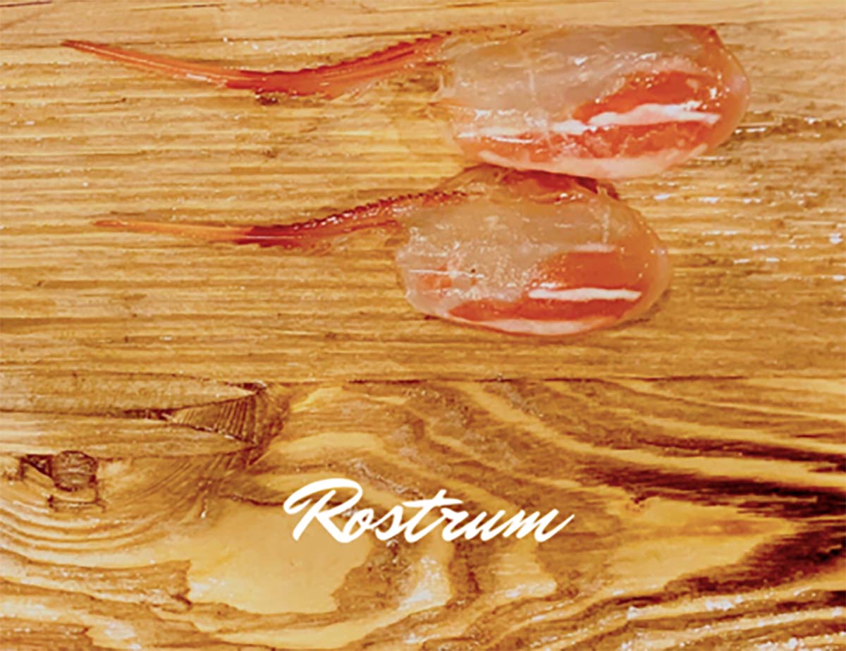 Crispy Fried Spot Prawn Heads