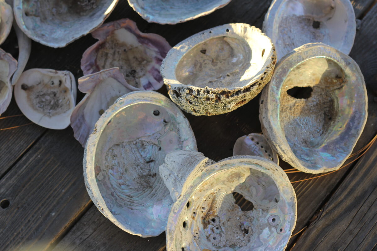 What Ever Happened to Local Abalone?