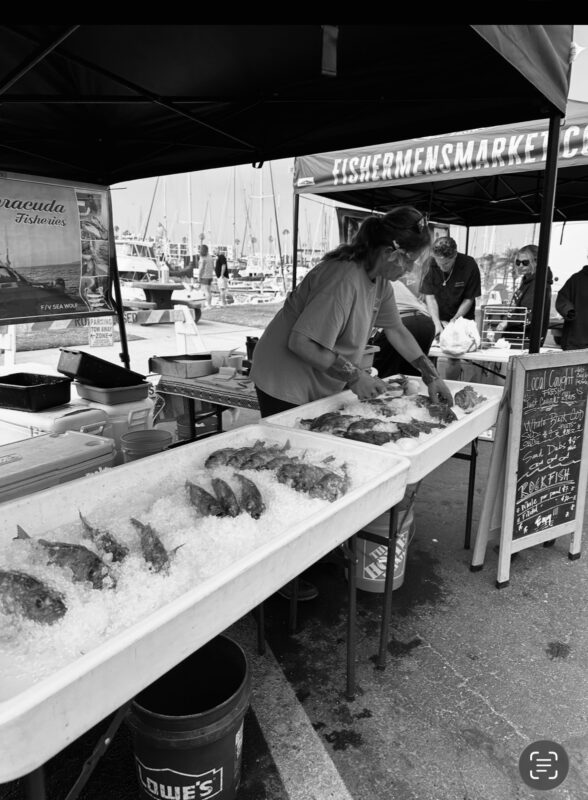 The Best Fish You’re Missing. Five Local Species to Try Now! 