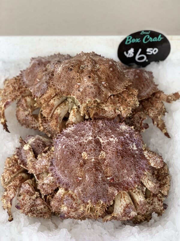 What’s Actually Going on With California Box Crab?